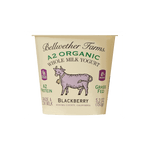 Blackberry Whole Milk Yogurt