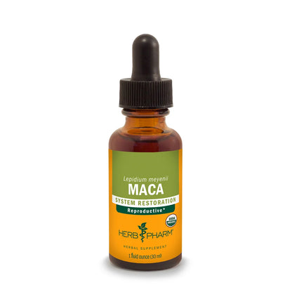 Maca