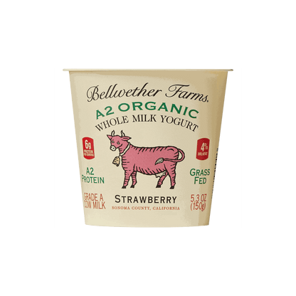 Strawberry Whole Milk Yogurt