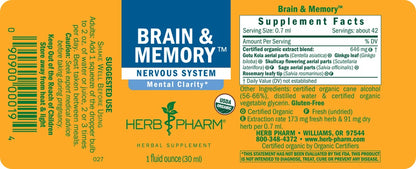 Brain & Memory