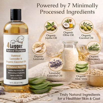 Dog Shampoo - Oatmeal & Lavender