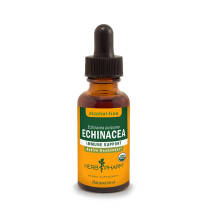 Echinacea - Alcohol Free