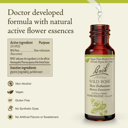 Bach Flower Remedies- Wild Rose