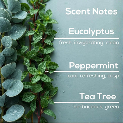 Eucalyptus Spearmint Plug In Refill
