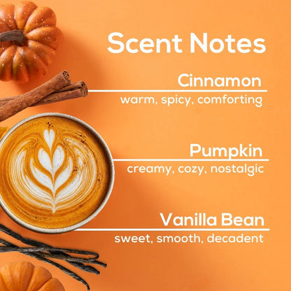 Pumpkin Spice Plug In Refill
