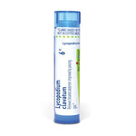 Lycopodium Clavatum 6 C Md