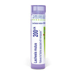 Lachesis Mutus 200ck